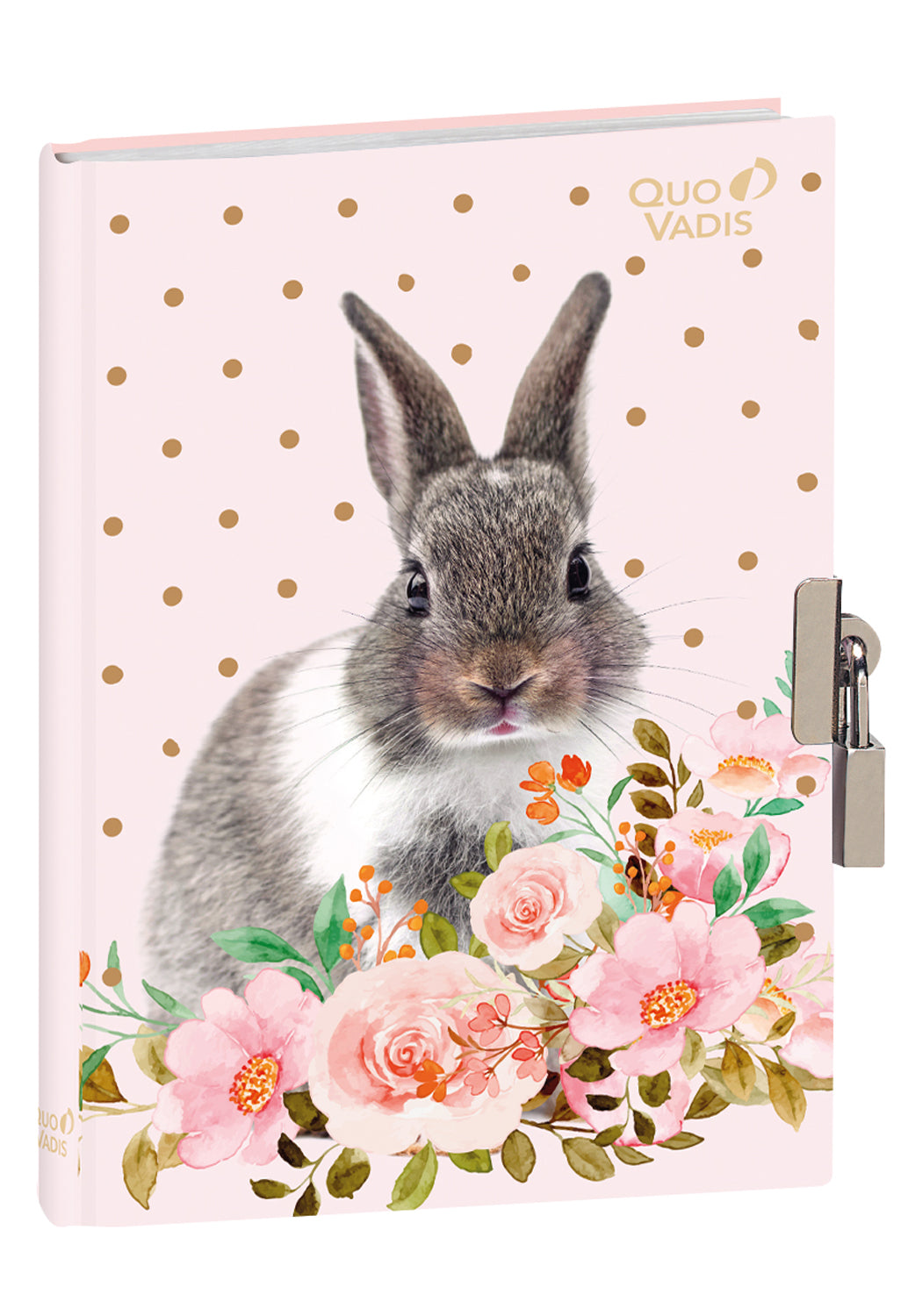 Journal intime Potes