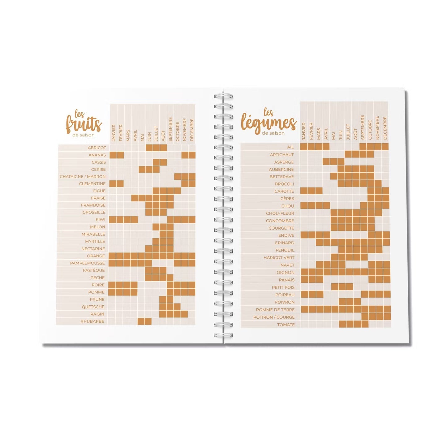 Carnet de Recettes modèle Perfect