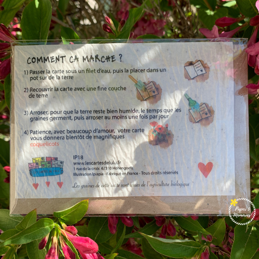 Carte à planter - Je t'aime oiseaux