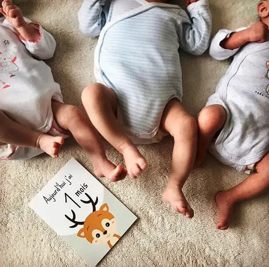 Cartes étapes Animaux - Première année