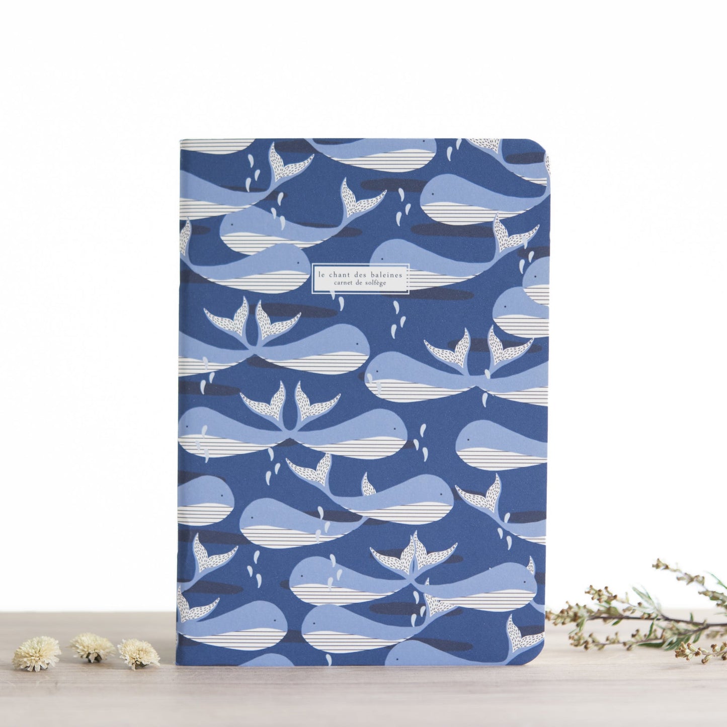 Carnet de Solfège - Orphée