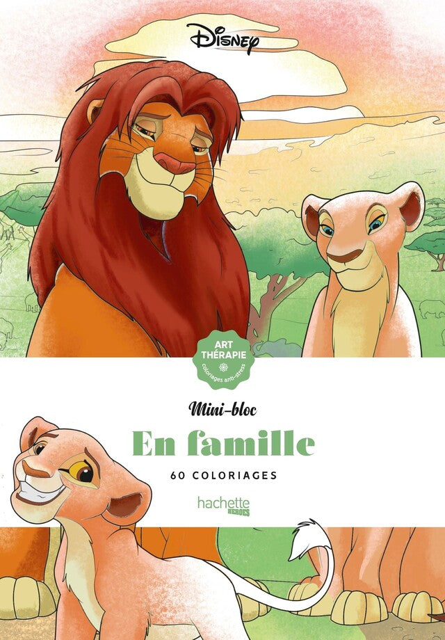 Mini bloc - En famille disney
