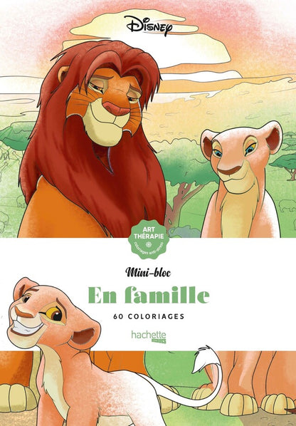 Mini bloc - En famille disney