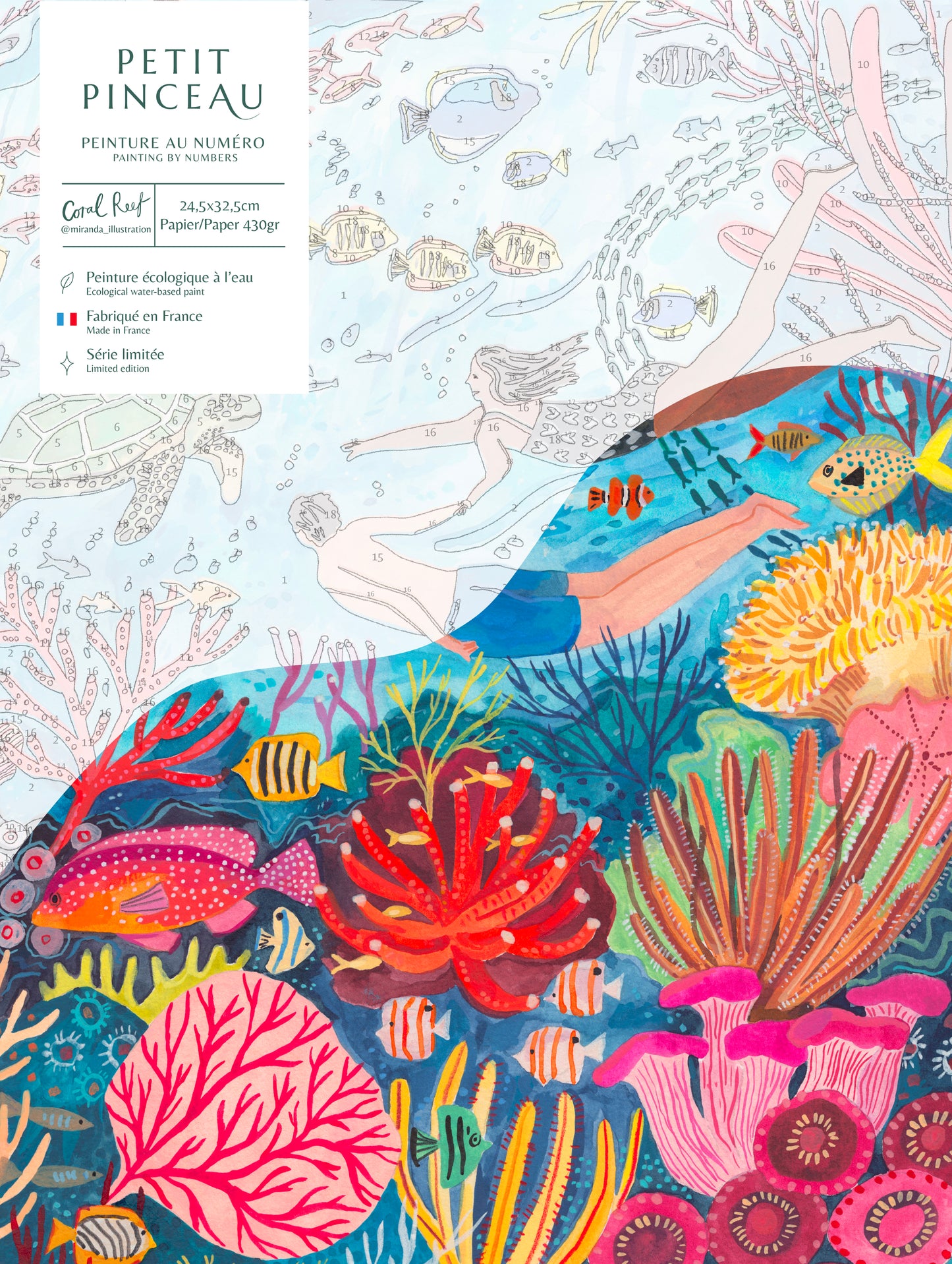 Kit peinture au numéro -  Coral reef par Miranda Sofroniou