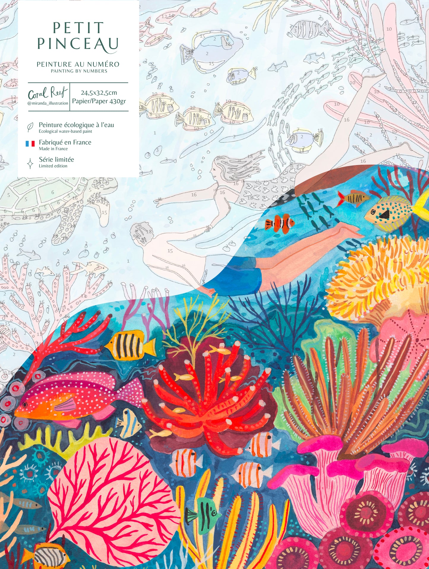 Paint by number kit - Coral reef by Miranda Sofroniou 