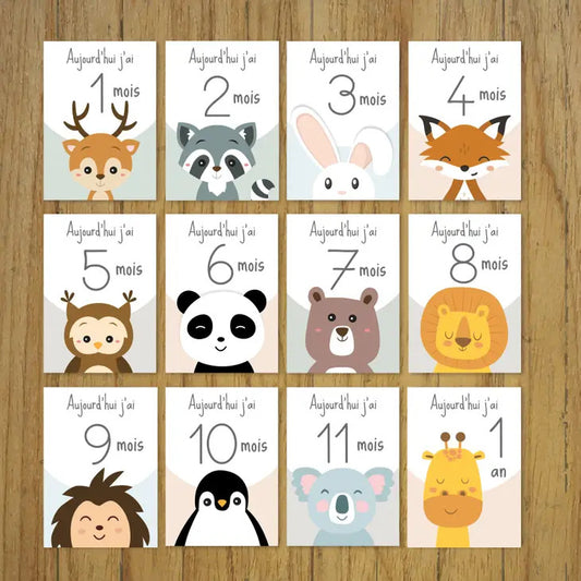 Animals step cards - First year 