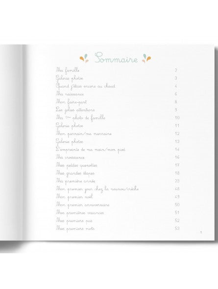 Album souvenir - mon bébé